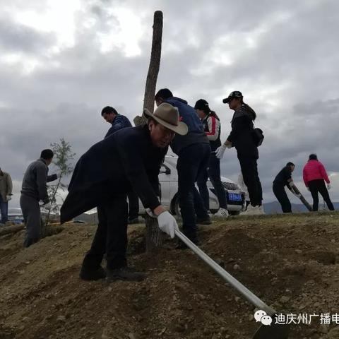 春季农业生产行动积极展开，保障农产品供应