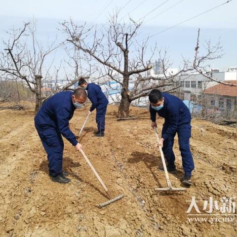 最新锄地机效率飞跃