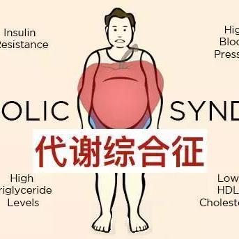 最新饮料产品选择